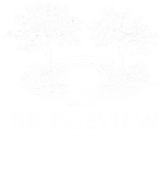 Bridgeview Clinical Services